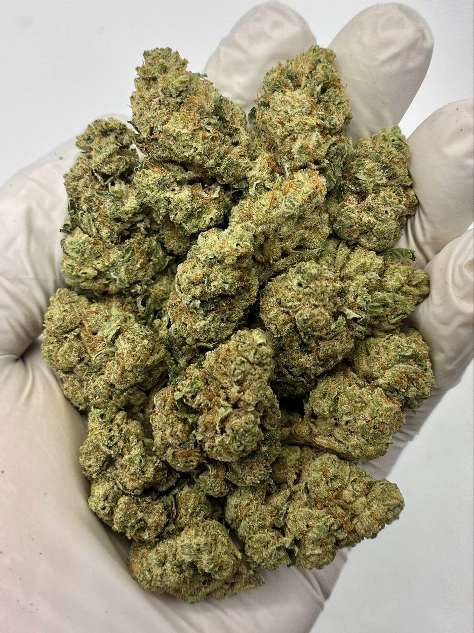 Banana OG THCa Flower close-up – frosty, dense nugs with vibrant pistils and trichomes
