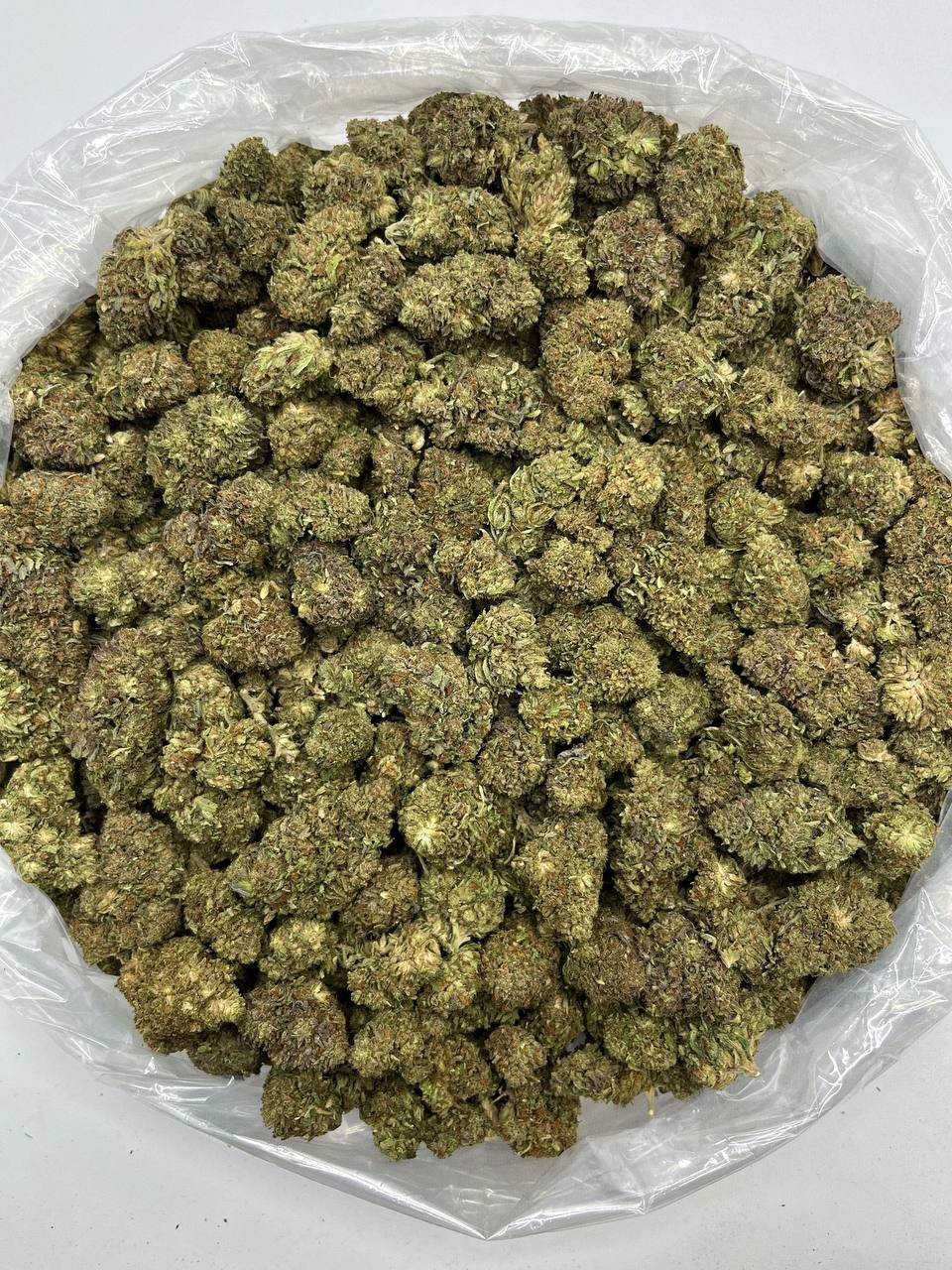 Bubba Kush THCa Flower Wholesale, Bulk High-Potency Hemp