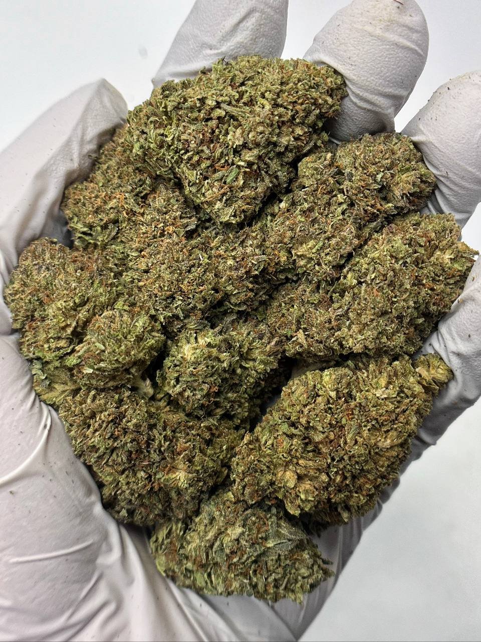 Bubba Kush THCa Flower Wholesale