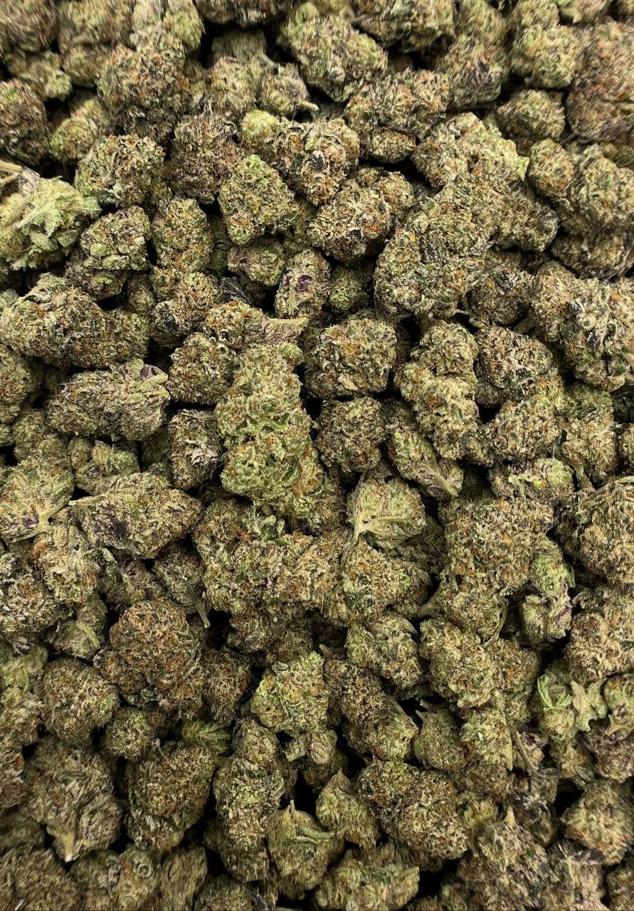 Bulk Super Lemon Haze THCa Flower – premium packaging for dispensary and wholesale distribution