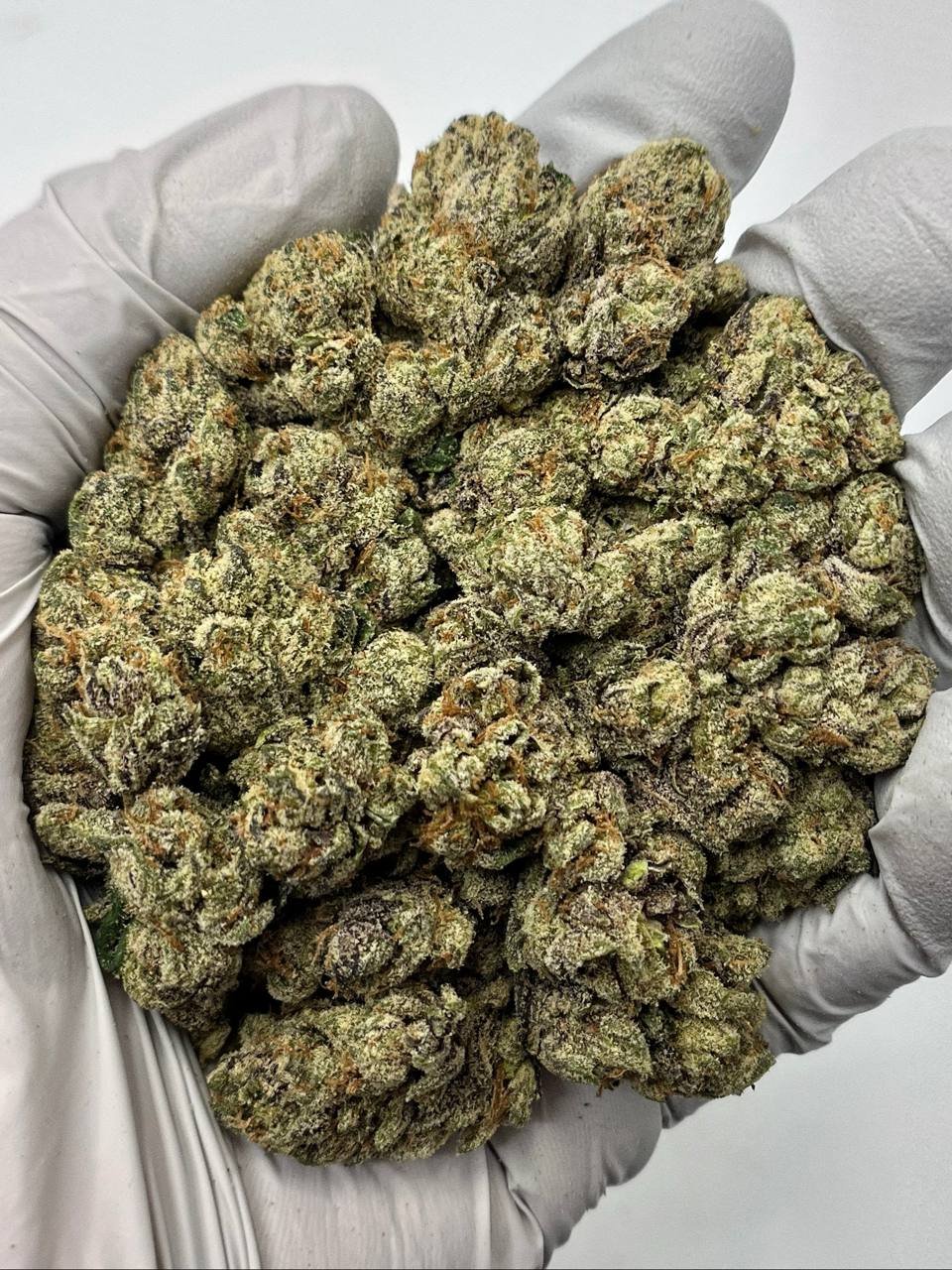 Candy Runtz THCa flower wholesale buds close-up with trichomes