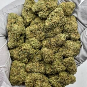 Close-up of dense Mule Fuel THCa Flower buds showcasing trichome coverage.