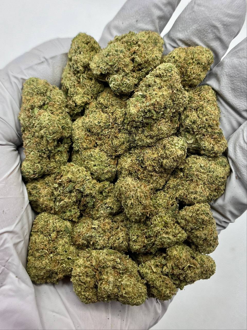 Close-up of dense Mule Fuel THCa Flower buds showcasing trichome coverage.