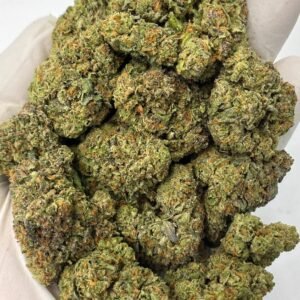 Gelato 41 THCa flower close-up with dense trichomes and purple hues