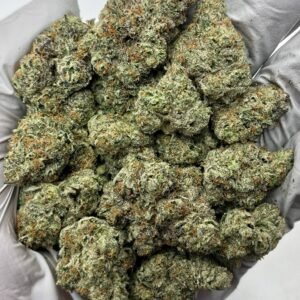 Platinum Diamond THCa Flower buds with dense trichomes and frosty appearance