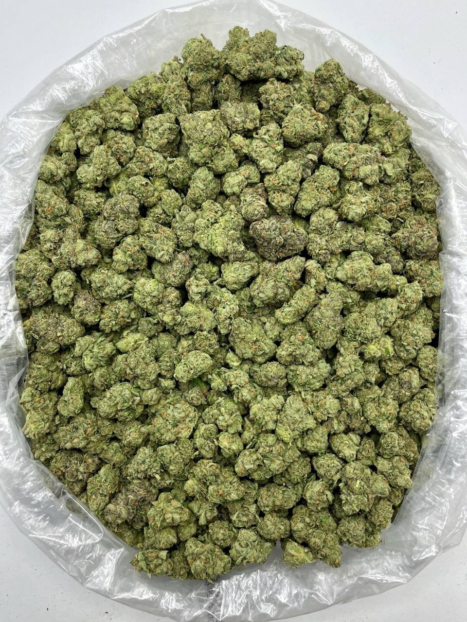 Premium Indoor-Grown Blue Dream THCa Flower in Mylar Packaging