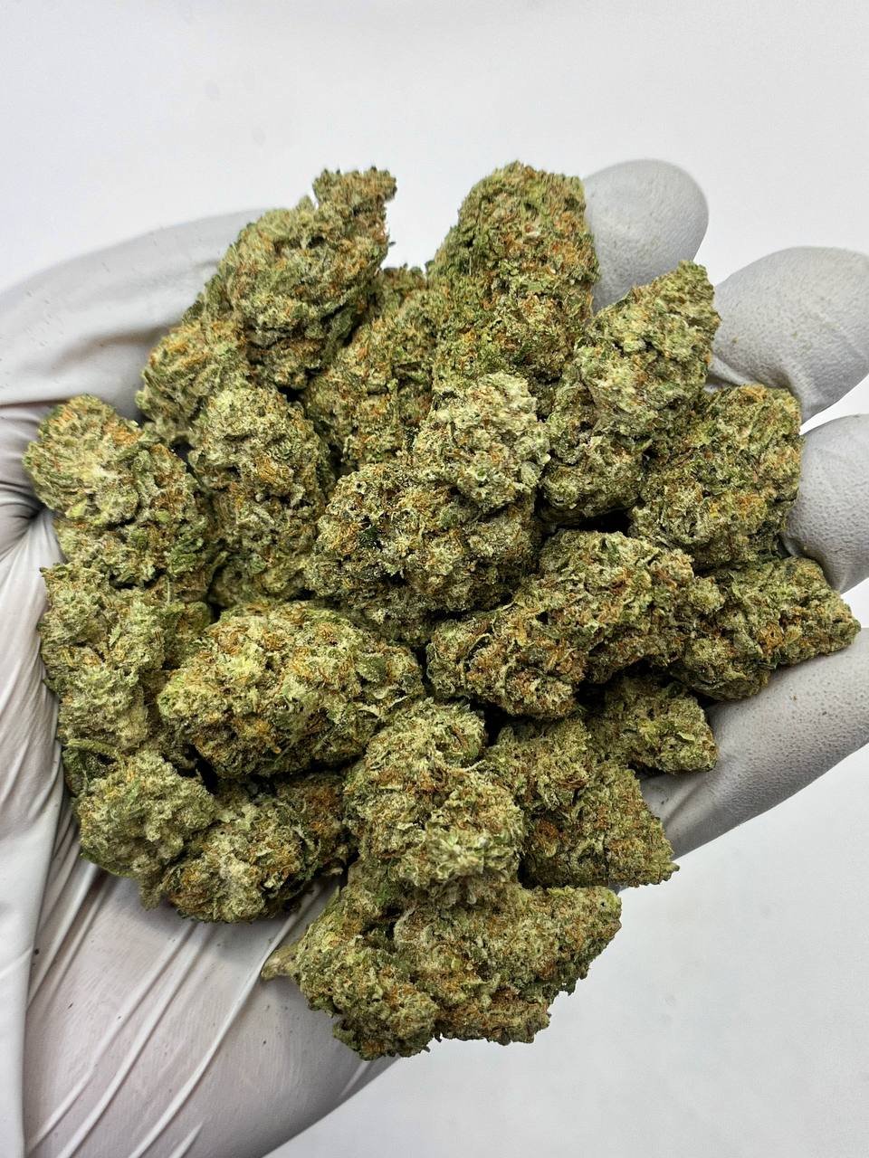 Red Velvet THCa flower close-up showing purple buds and frosty trichomes