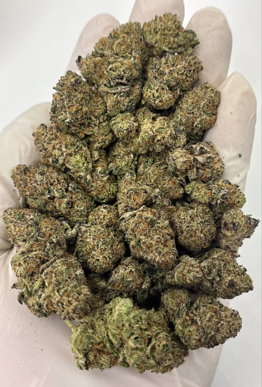 Super Lemon Haze THCa Flower – citrusy, frosty hemp buds close-up with rich trichome coverage