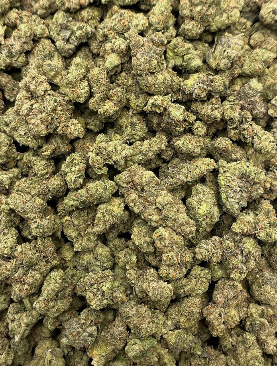 Bulk OG Kush THCa flower vacuum-sealed for wholesale distribution