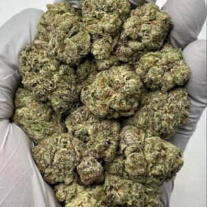 Bulk Pineapple Express THCa Flower with golden green buds