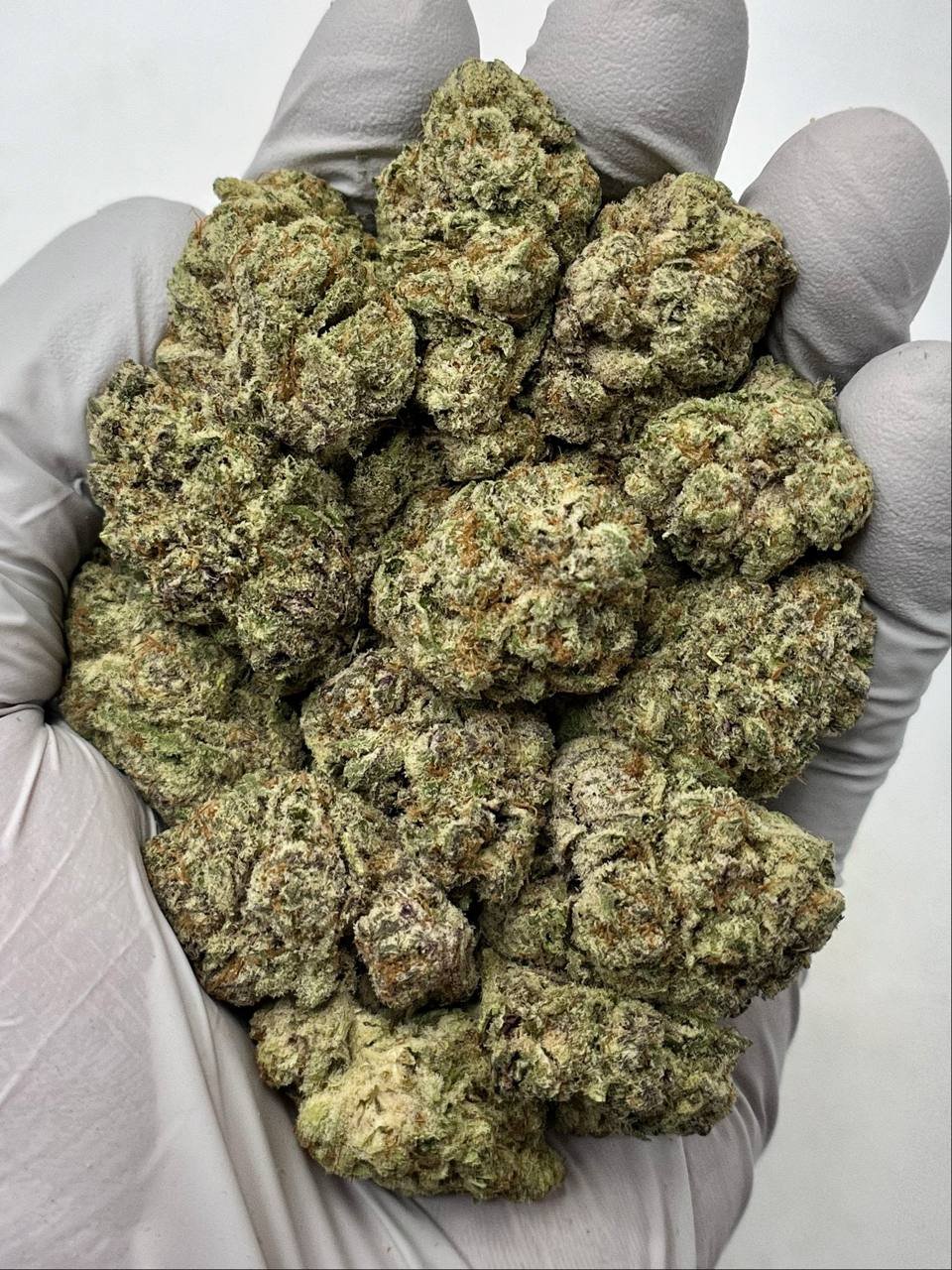 Bulk Pineapple Express THCa Flower with golden green buds
