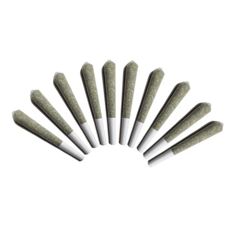 Pineapple Express THCa Pre-Roll – Bulk Standard Infused Indica
