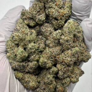 Bulk Sour Diesel THCa Flower with citrus-diesel trichome-rich buds