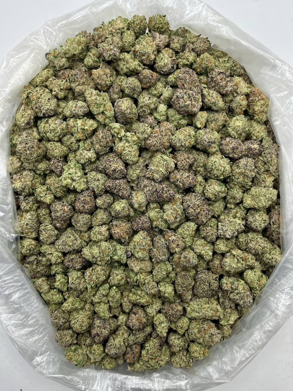 Bulk THCa Flower – Purple Punch strain in wholesale packaging