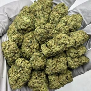 Bulk Wedding Cake THCa Flower with sugar-coated trichomes