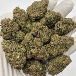 Close-up of Girl Scout Cookies THCa Flower with frosty trichomes
