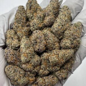 Grape Gas THCa Flower – Purple Exotic Cannabis Buds in Bulk Packaging