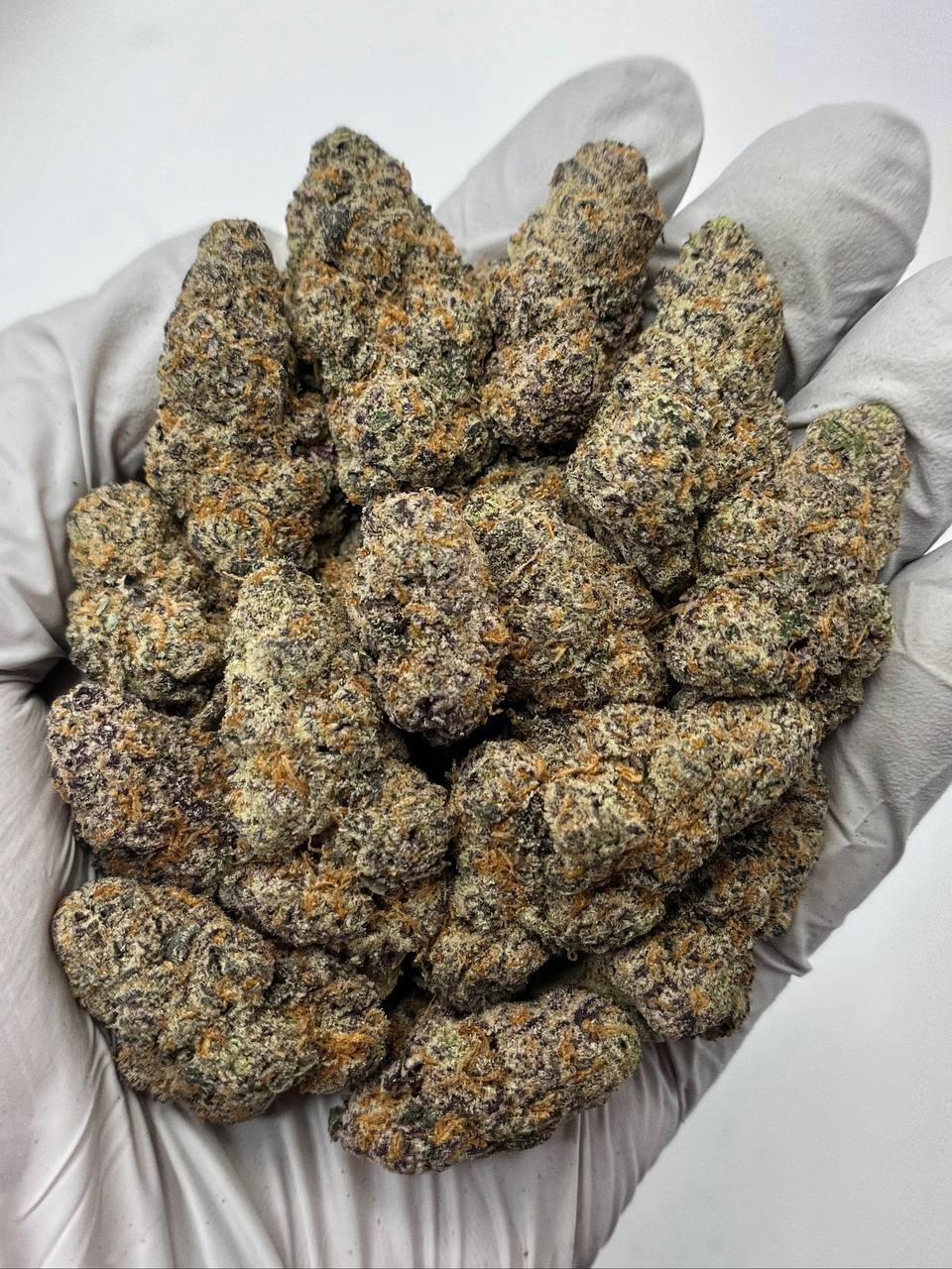 Grape Gas THCa Flower – Purple Exotic Cannabis Buds in Bulk Packaging