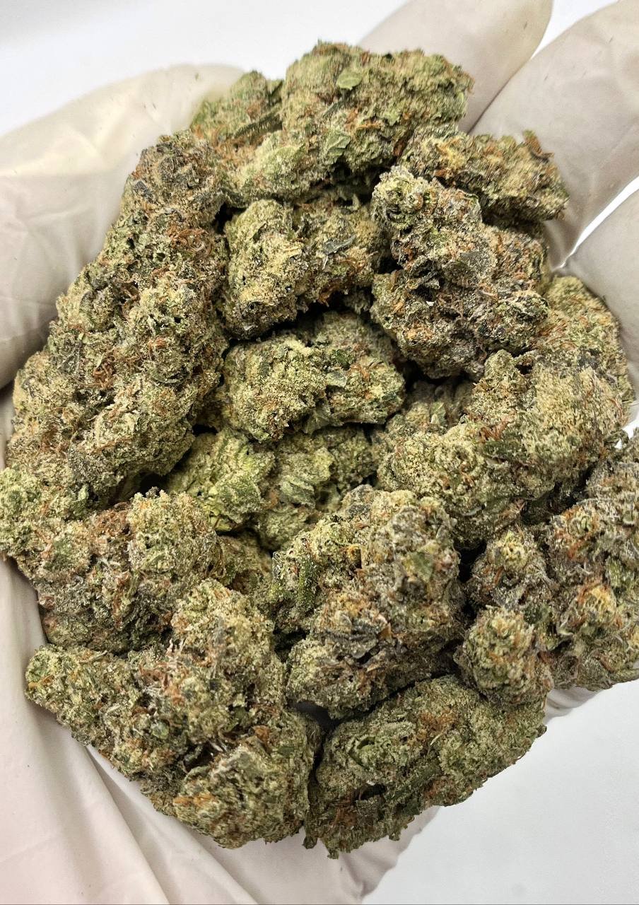OG Kush THCa flower close-up with crystal-coated green buds and orange hairs