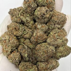 Blueberry THCa Flower – Exotic Purple Indica Buds for Wholesale Buyers