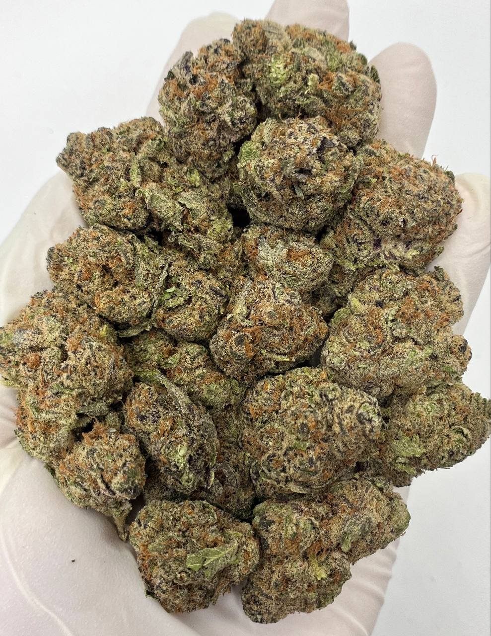 Blueberry THCa Flower – Exotic Purple Indica Buds for Wholesale Buyers