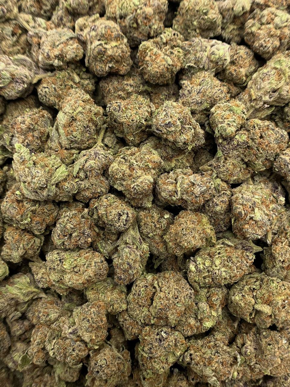 Bulk Blueberry Strain – Premium High THCa Hemp Flower Packaging