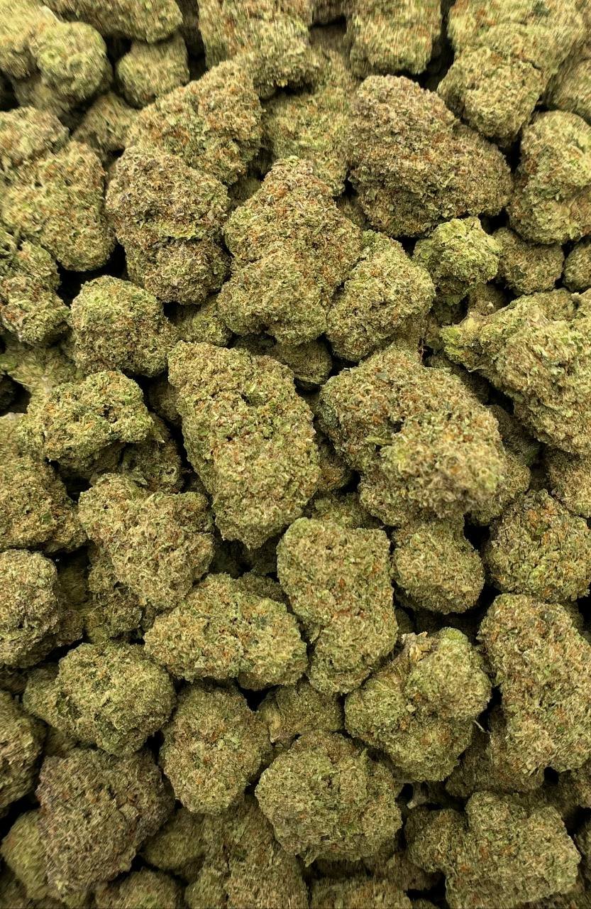 Bulk Chemdawg Strain – Premium High THCa Hemp Flower Packaging