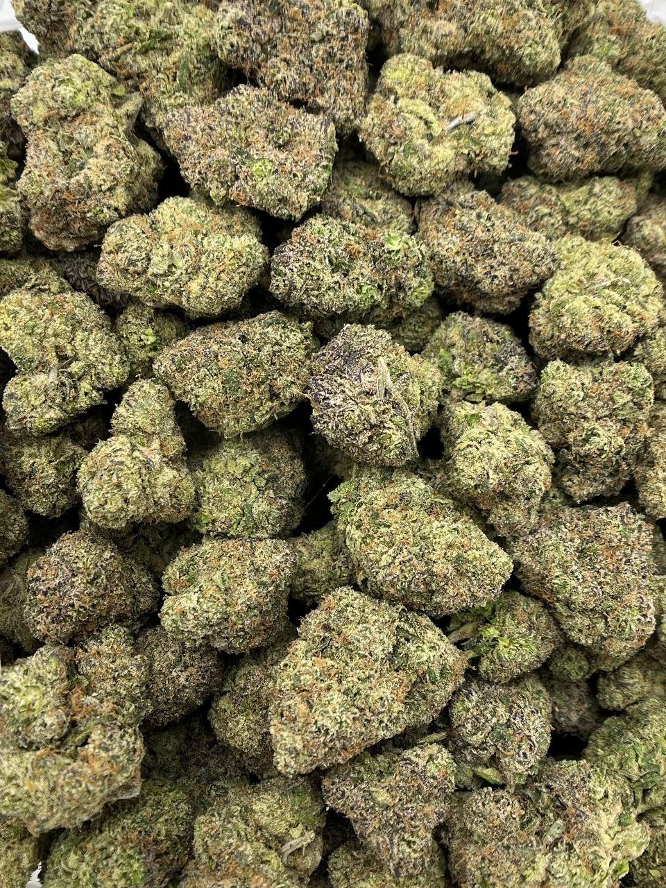 Bulk Cherry Gumbo Strain – High THCa Hemp Flower Packaging