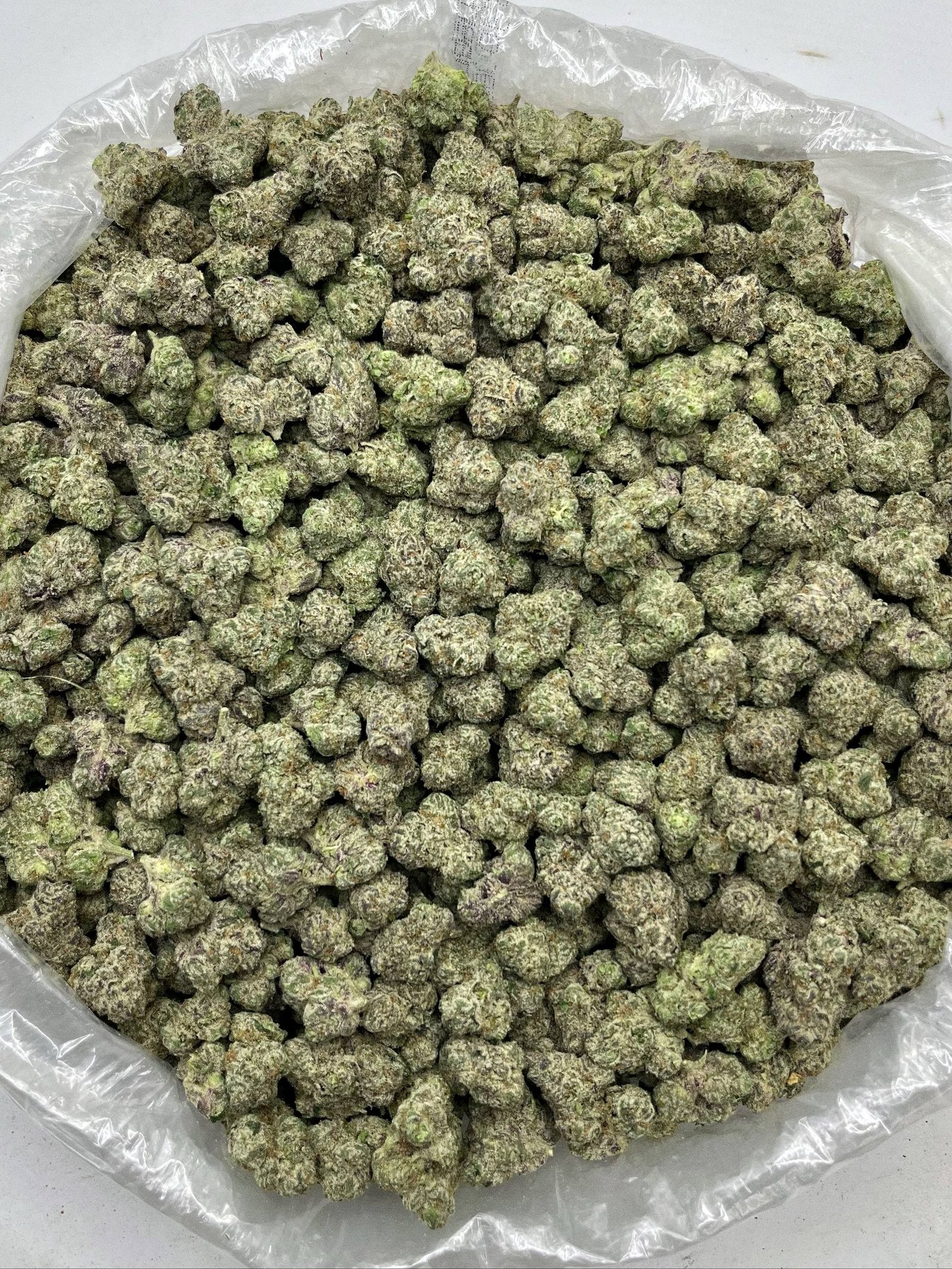 Bulk Lemon Cherry Gelato Strain – Premium High THCa Exotic Hemp Buds