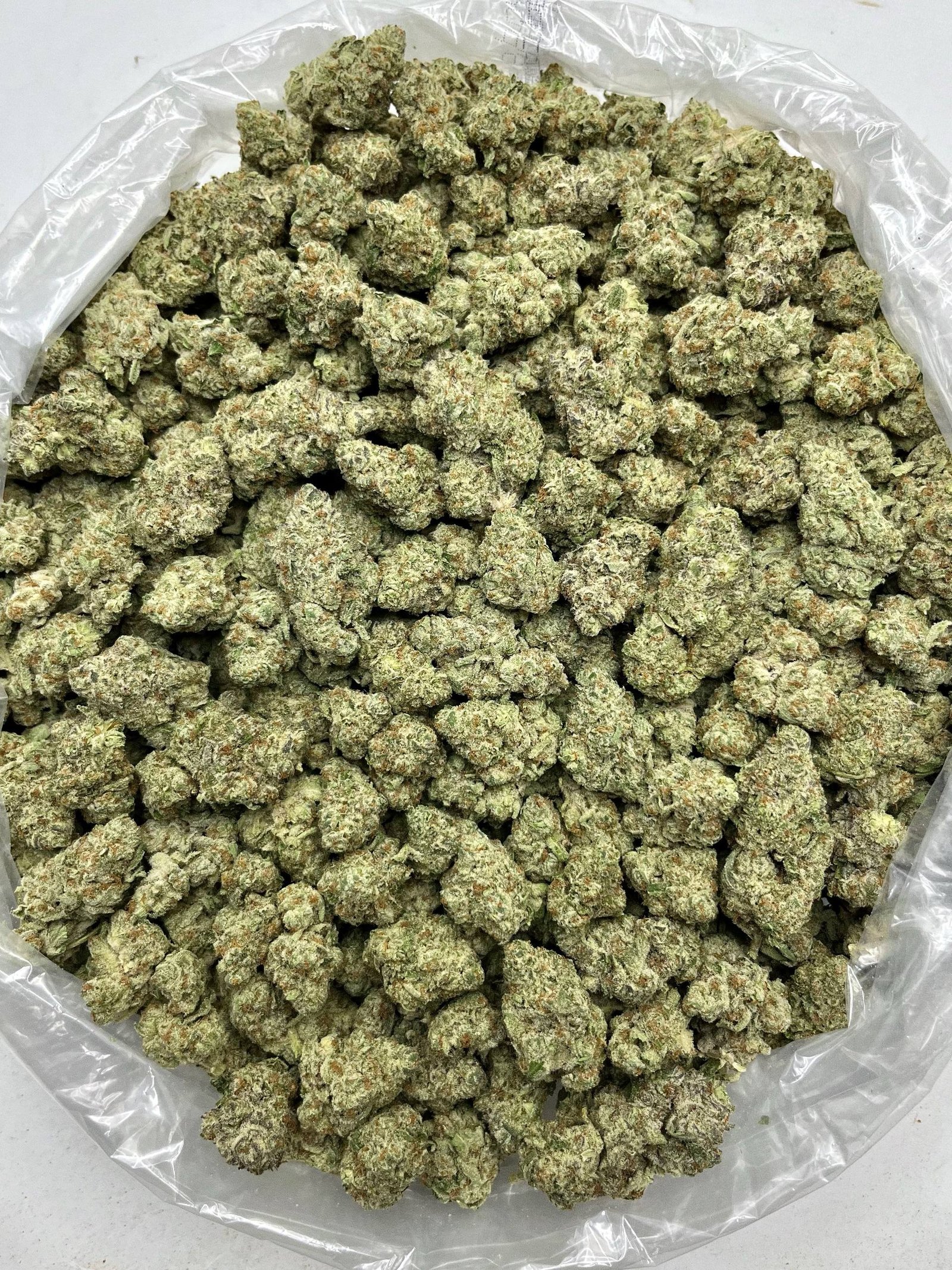 Bulk Oreoz Strain – High THCa Exotic Hemp Flower in Vacuum Packaging