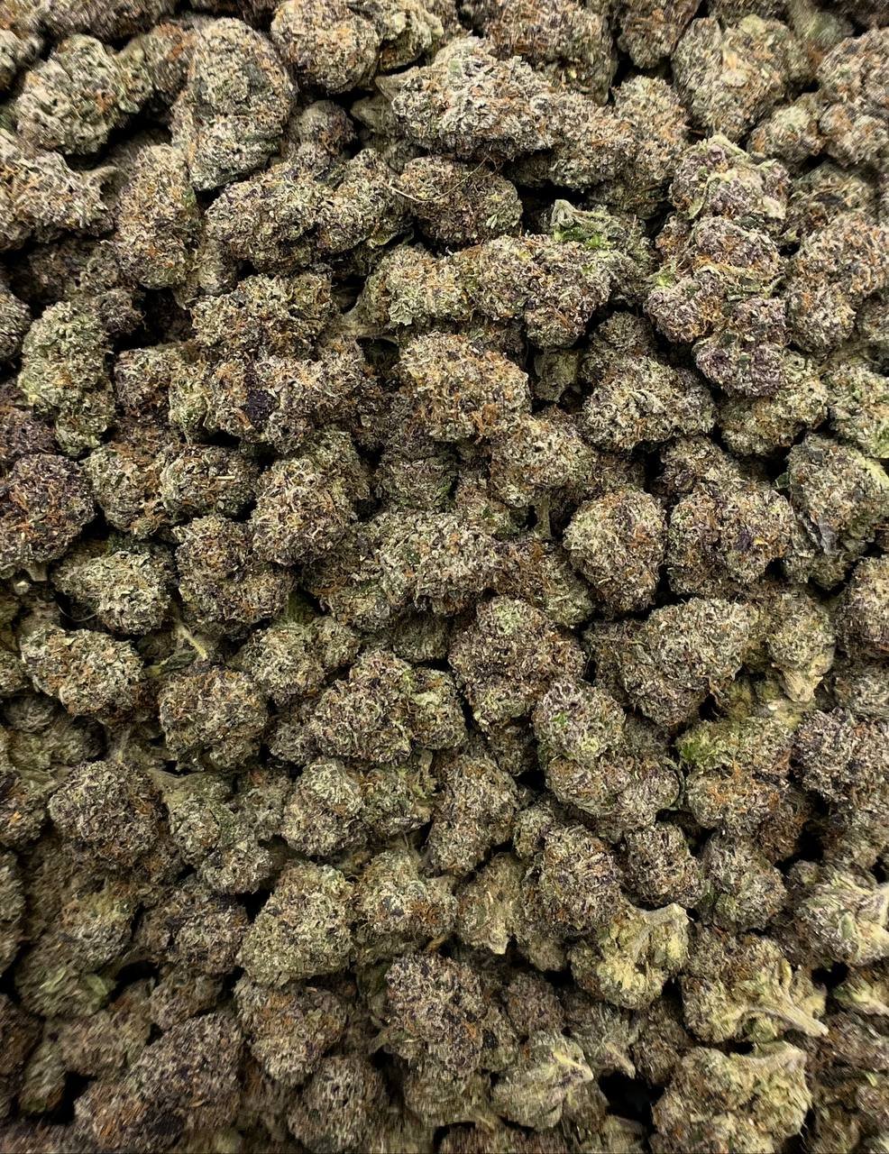 Bulk Pink Runtz Strain – Premium High THCa Exotic Hemp Flower