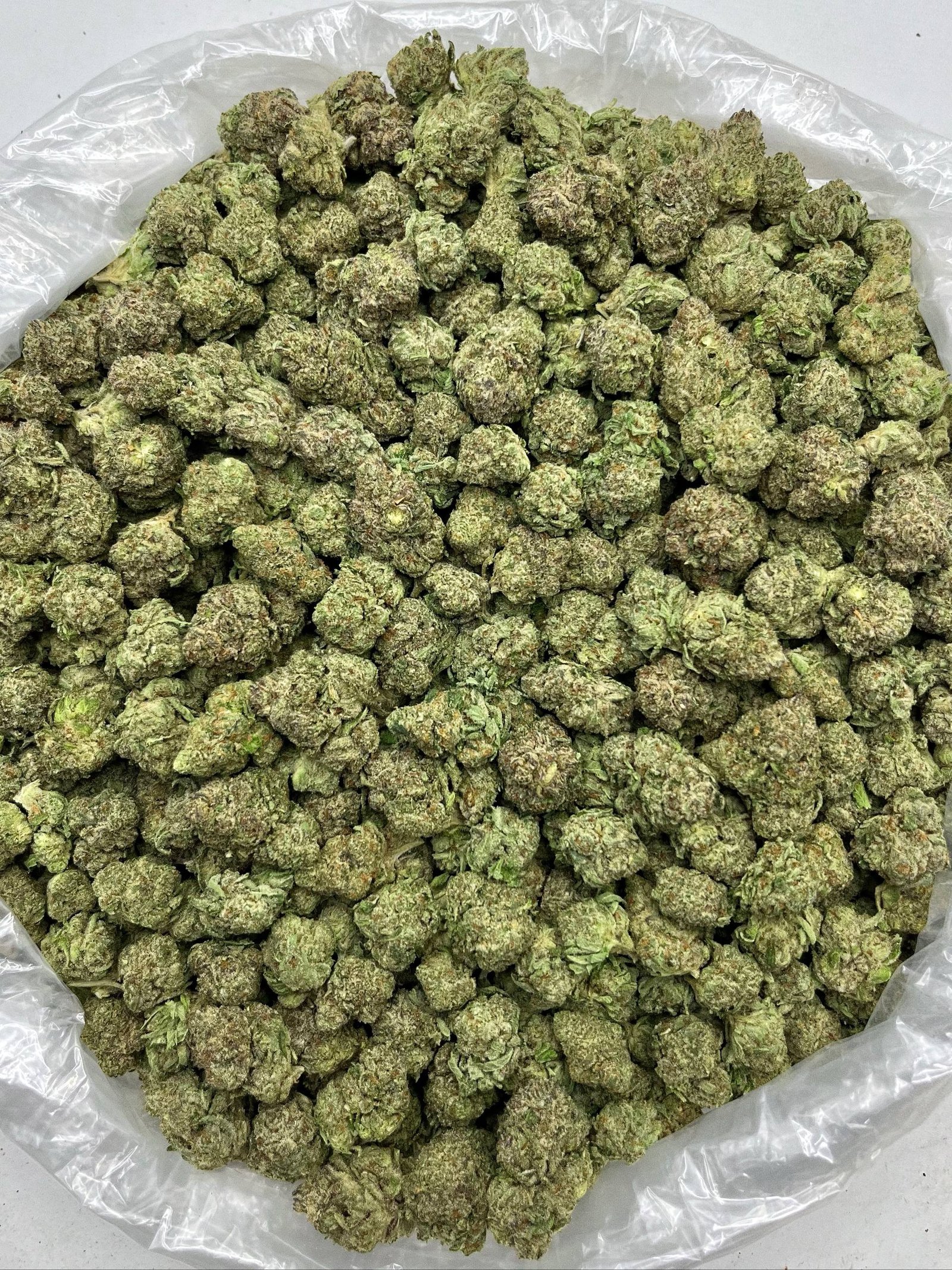 Bulk Royal Cherry Diesel Strain – Premium High THCa Hemp Flower Packaging