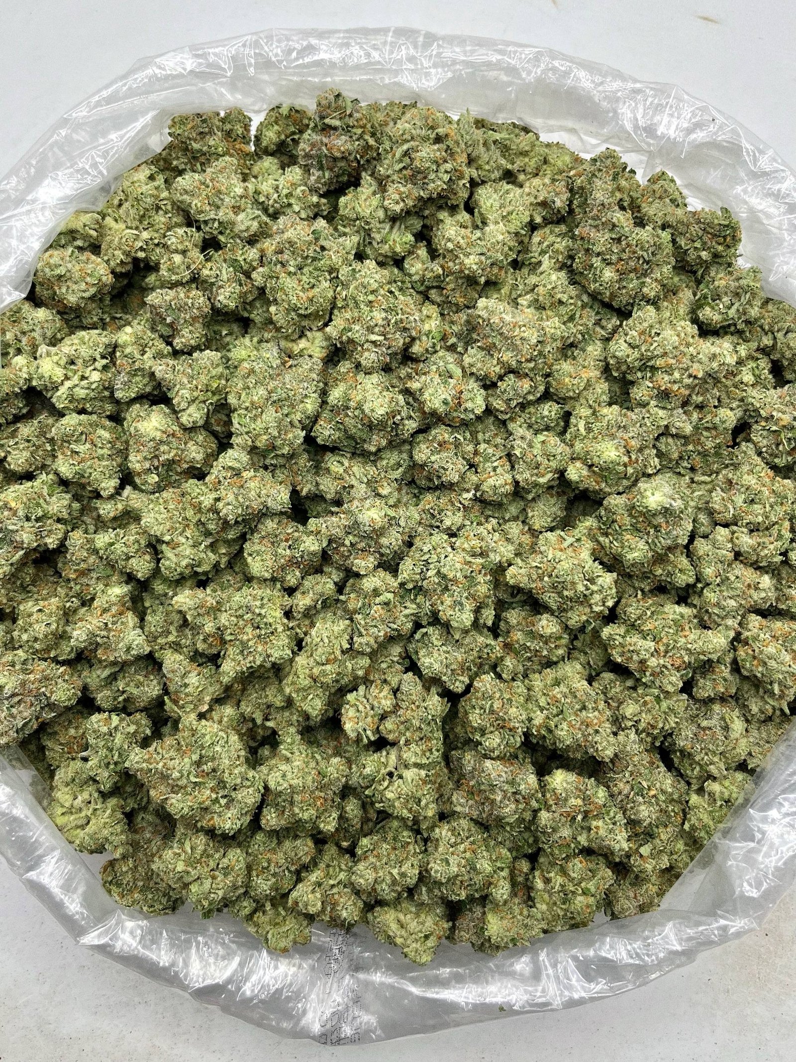 Bulk White Runtz Strain – Premium High THCa Exotic Hemp Flower