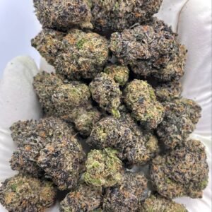 Candy Marker THCa Flower Wholesale Bulk Cannabis Buds
