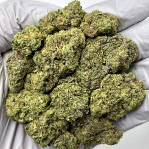 Cereal Milk THCa Flower – Exotic Creamy Hybrid Cannabis Buds in Bulk