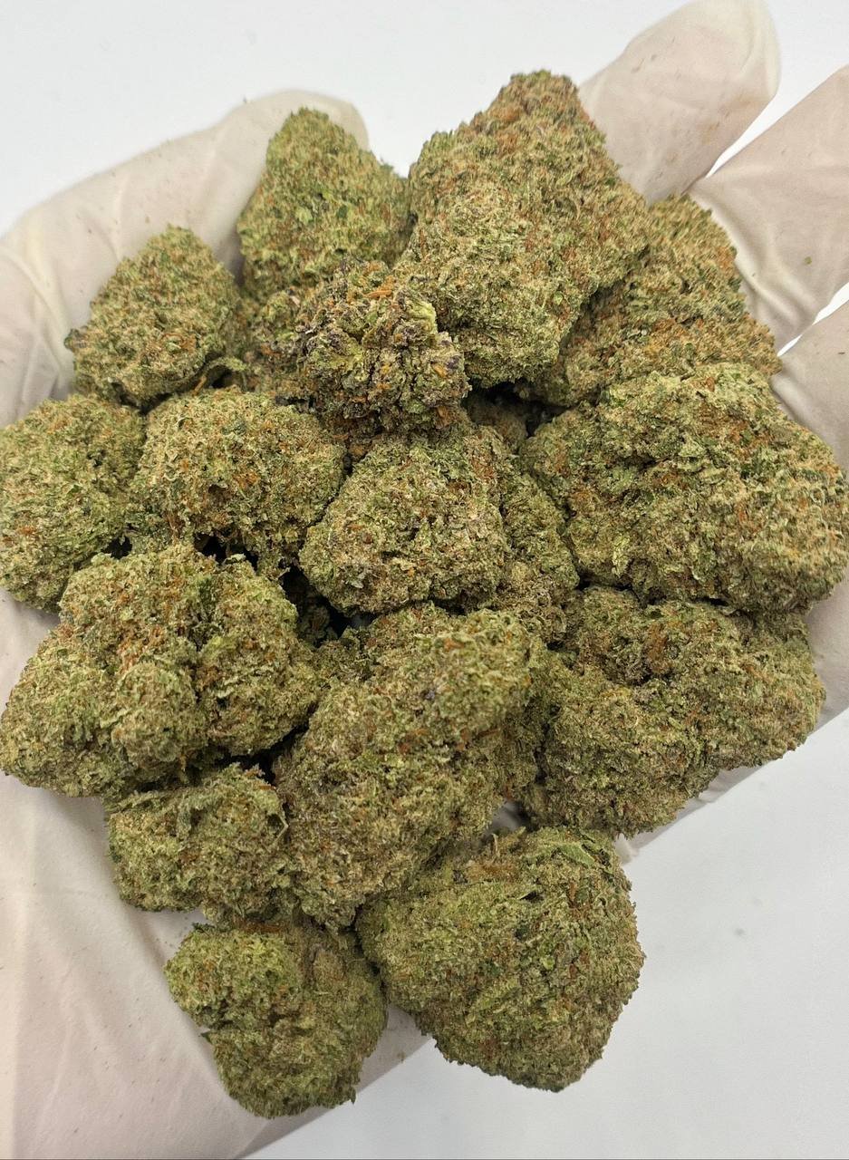 Chemdawg THCa Flower – Exotic Gassy Hybrid Cannabis Buds for Wholesale