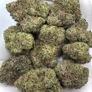 Cherry Gumbo THCa Flower – Exotic Fruity-Gassy Hybrid Cannabis Buds in Bulk