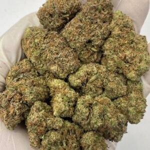GMO THCa Flower – Exotic Garlic Cookie Cannabis Buds for Wholesale