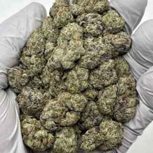 Gelato 33 THCa Flower – Exotic Dessert Hybrid Cannabis Buds for Wholesale