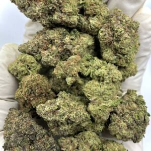 Gushers THCa Flower – Exotic Fruity Cannabis Buds in Bulk Packaging