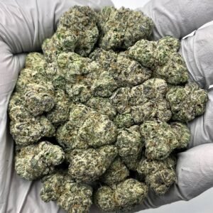 Lemon Cherry Gelato THCa Flower – Exotic Hybrid Buds with Purple and Green Hues