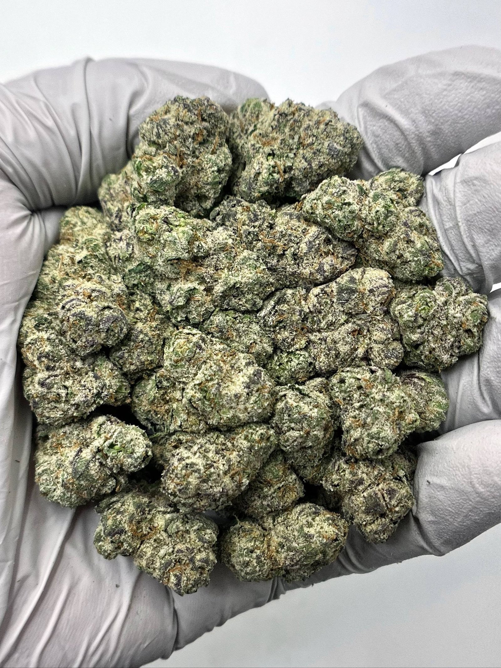 Lemon Cherry Gelato THCa Flower – Exotic Hybrid Buds with Purple and Green Hues