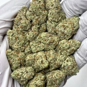 Oreoz THCa Flower – Frosty Exotic Hybrid Cannabis Buds for Wholesale
