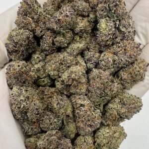 Pink Runtz THCa Flower – Exotic Fruity Hybrid Cannabis Buds for Wholesale