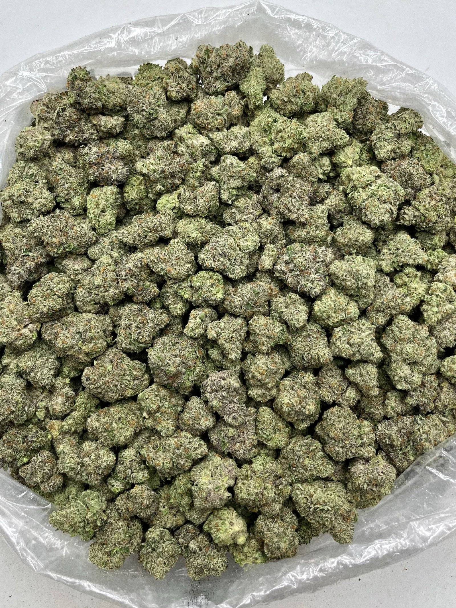 Premium Sherbert Strain – High THCa Exotic Hemp Flower