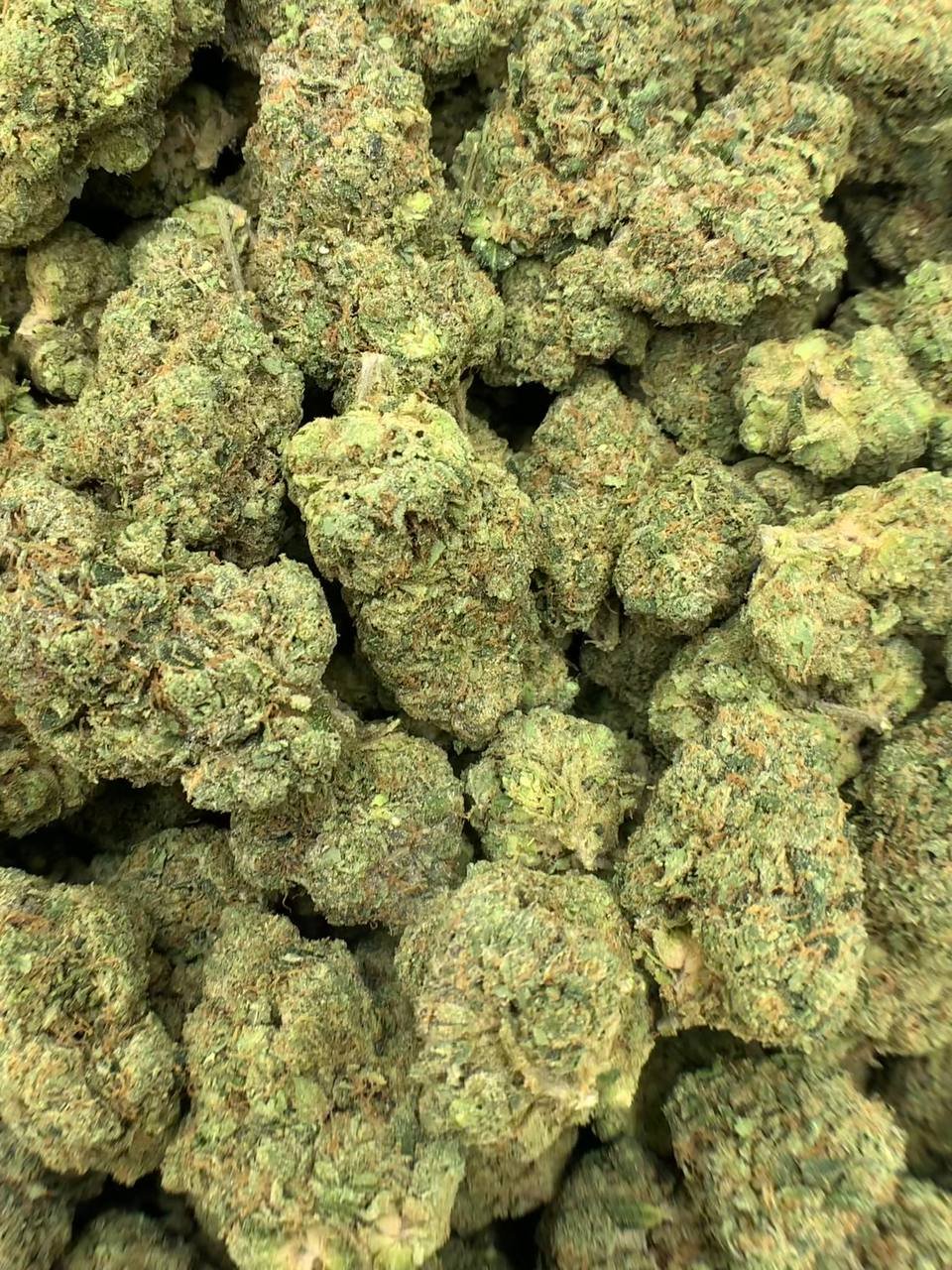 Premium Zkittlez THCa Hemp Flower Lab Tested for Wholesale