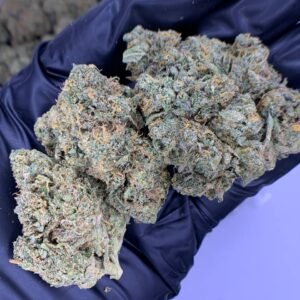 RS11 THCa Flower – Exotic Fruity-Gassy Cannabis Buds in Bulk Packaging
