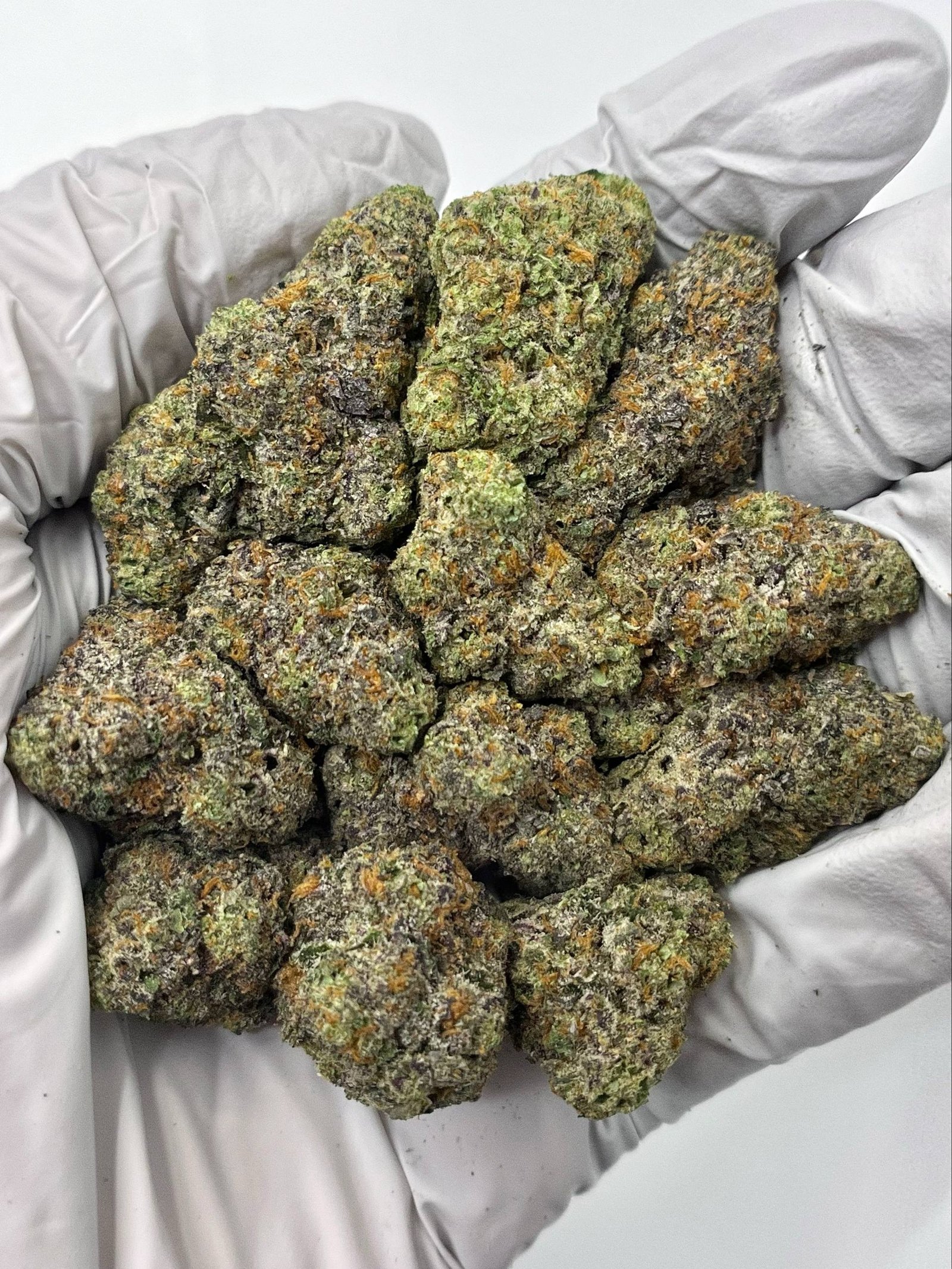 Rainbow Beltz THCa Flower – Exotic Candy-Flavored Cannabis Buds for Wholesale