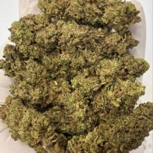 Rainbow Sherbet THCa Flower – Exotic Fruity-Cream Hybrid Cannabis Buds
