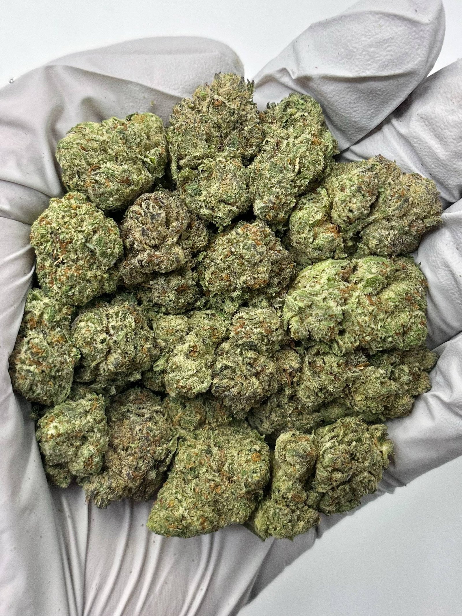 Royal Cherry Diesel THCa Flower – Exotic Cherry-Gas Hybrid Cannabis Buds for Wholesale